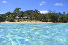Palm Grove